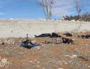 63 джихадиста убиты в засаде под Седнайя