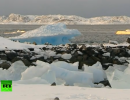 К 2050-м годам в Арктике сложится интересная ситуация