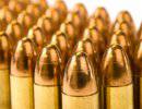 Рекомендуют запастись оружием и боеприпасами для самозащиты во время коллапса