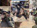 Сирийская армия уничтожила десятки кувейтских и саудовских боевиков