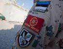 Эстония жертвует военными на благо Франции Эстония жертвует военными на благо Франции
