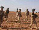Иракская армия ликвидировала муфтия "Исламского государства Ирака и Леванта" в г. Мосул