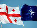 США ускоряют процесс вовлечения Грузии в НАТО