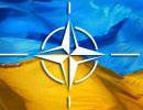 НАТО заявляет о поддержке территориальной целостности Украины