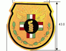Нагрудные академические знаки Вооруженных сил Мексики