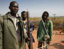 Правозащитники заявили об этнических чистках в ЦАР