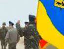 Позор украинской армии: «Мы в прямом эфире. Америка с нами!»