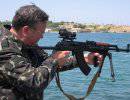 Гриценко предлагает легализовать имеющееся у украинцев оружие