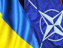 Украина согласовала с НАТО план по усилению своей армии
