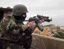 Иракская армия ликвидировала 14 боевиков ИГИЛ в районе города Рамади