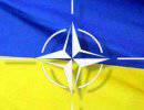 Украина и НАТО разрабатывают совместный план защиты АЭС