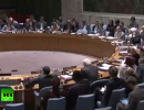 Заседание Совбеза ООН в связи с карательной операцией в Славянске