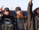 В Сирии убит один из главарей ИГИЛ Абу Умар Аш-Шишани