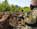 Ополченцы ДНР: К нам пришло большое подкрепление