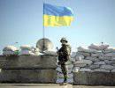 Ополченцы ЛНР заявили о причастности «Айдара» к убийству журналистов ВГТРК Ополченцы ЛНР заявили о причастности «Айдара» к убийству журналистов ВГТРК