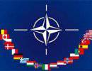 НАТО предлагает Грузии «усиленный» политический диалог