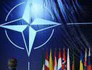 Die Welt: из-за России НАТО стоит на грани раскола Die Welt: из-за России НАТО стоит на грани раскола