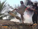 ISIS уничтожил бронетанковую колонну иракской армии в Анбар