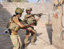 Иракская армия освободила район Аль-Идхайм в провинции Дияла, бои идут в провинциях Ниневия и Анбар