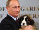 Военная или гуманитарная агрессия Владимира Путина?
