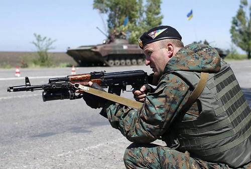 «Правый сектор» расстрелял 30 дезертировавших бойцов украинской армии «Правый сектор» расстрелял 30 дезертировавших бойцов украинской армии