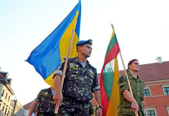 Капитан Шинкунас бьет по Донбассу Капитан Шинкунас бьет по Донбассу