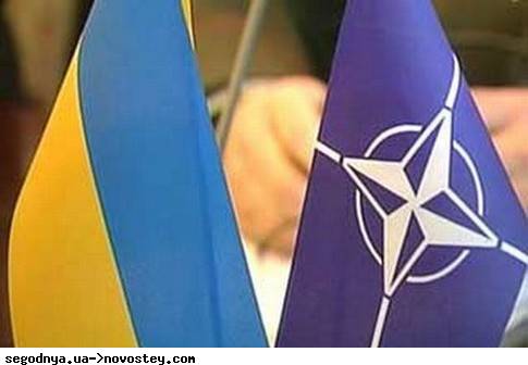 Примут ли Украину в НАТО?