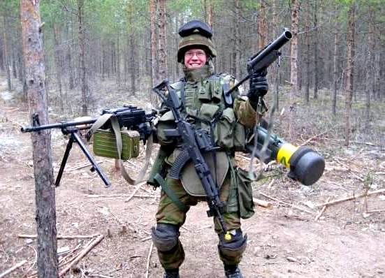 Финляндия и Швеция могут полностью объединить армии