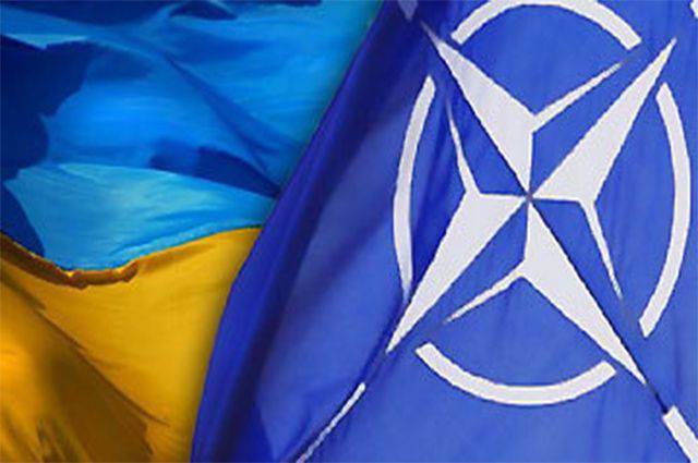 Украина может вступить в НАТО стремительно, если будет повод