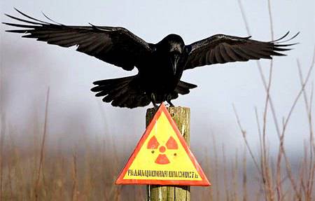 На Чернобыльской АЭС снова неспокойно