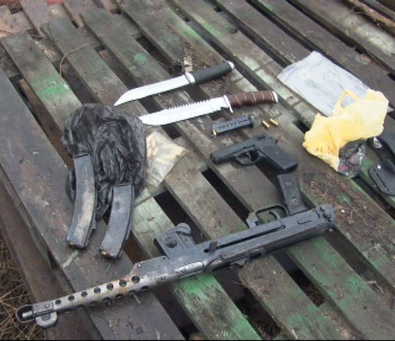 В Одесской области найден тайник с целым арсеналом оружия