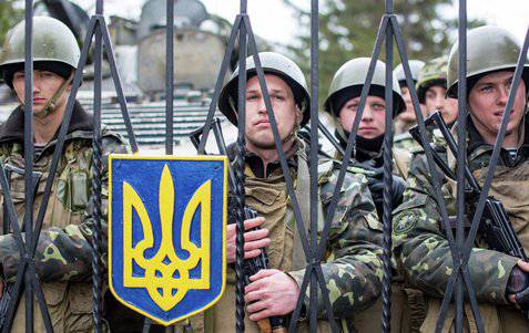 Кого поймают – тот и попадет в армию Кого поймают – тот и попадет в армию