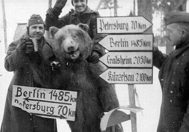 Наркотические патрули Третьего рейха: С чем экспериментировали нацисты