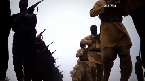 ИГИЛ на Украине: альянс Киева и джихадистов