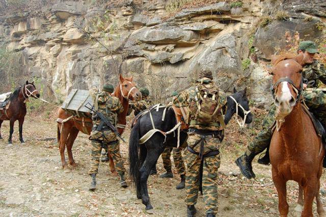 Мотострелки ЮВО учились воевать в горах,  используя лошадей