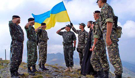 Украина показала, как сэкономить на пошиве одежды для солдат