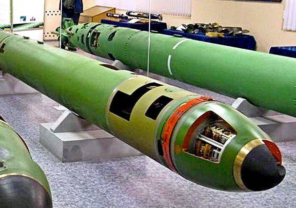 Россия приступила к разработке высокоточного подводного оружия