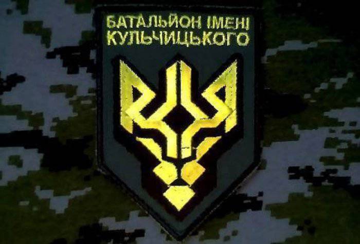 Два батальона украинских карателей едва не перестреляли друг друга из-за шести фур контрабанды в зоне "АТО"