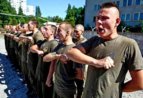 Украина сегодня не способна сформировать боеспособную армию