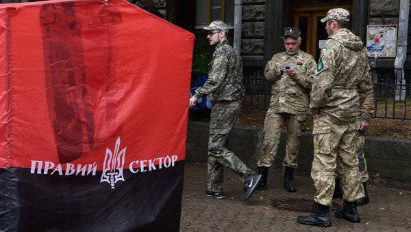 Spiegel: «Правый сектор» репетирует восстание против Киева