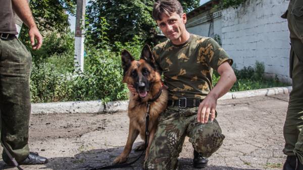 Четвероногие ополченцы Донбасса: опасная работа собак-саперов