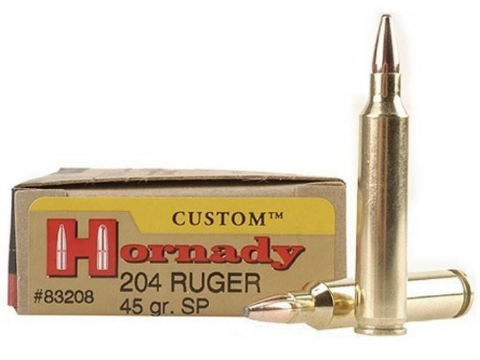 Патрон .204 Ruger – один из лучших боеприпасов для охоты и спортивной стрельбы