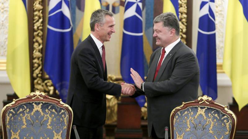 «Информационный плацдарм» против РФ: НАТО видит всё, включая «позор» Украины