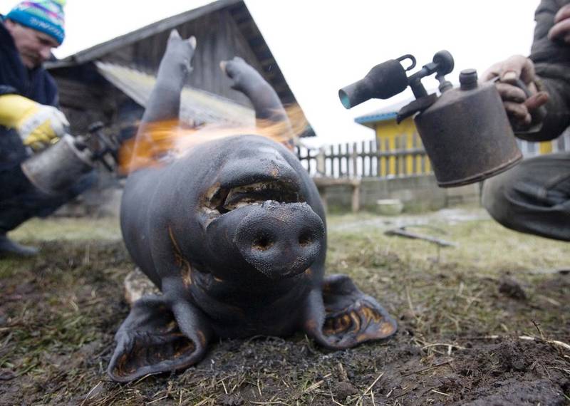 «Посылка» из Вашингтона: Штаты подложили Европе ядерную свинью