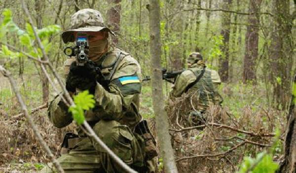 Украинские ДРГ подорвались на минах, оставленных ВСУ