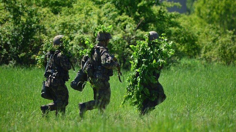 Чехия хочет увеличить армию: будут брать гипертоников и аллергиков