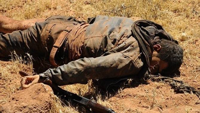 Бывший полевой командир «Аль-Каиды» убит в Сирии