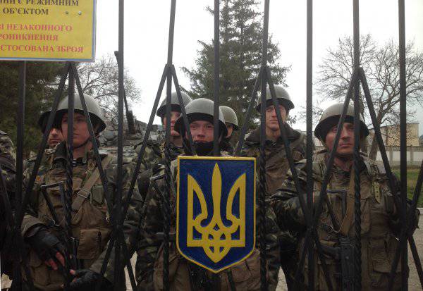 Украина станет членом НАТО дефакто: развивать ВСУ будут натовские инструкторы по натовским стандартам
