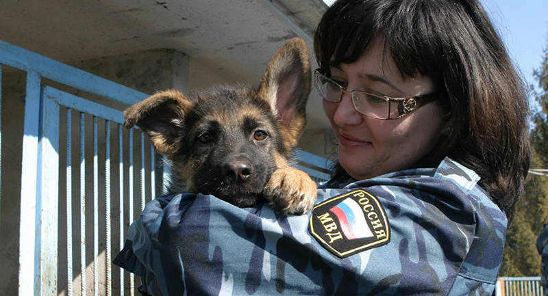 Россия подарила Франции полицейского пса