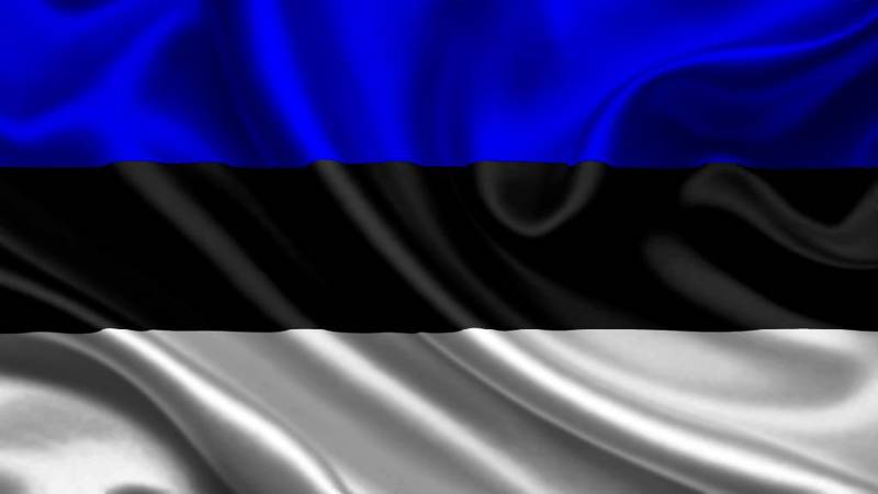 Ополчение Эстонии готовится в городским боям